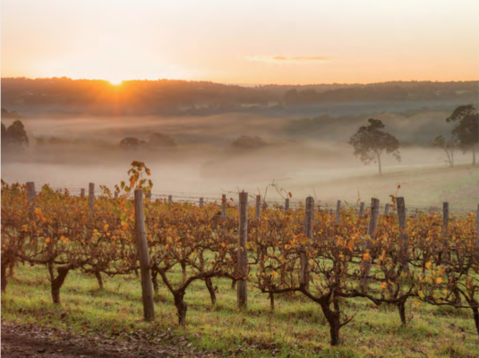 Captura de ecrã 2026-03-31, às 23.08.51 Captura de ecrã 2026-03-31, às 23.08.51